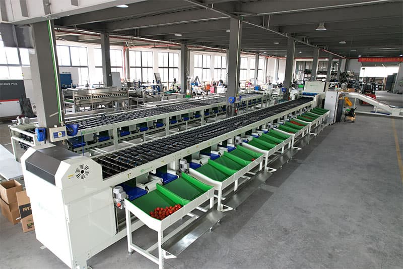 mango optical sorting machine.jpg